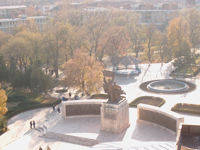 Photograph